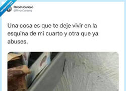 Enlace a No nos pasemos, por @RincnCuriosoo