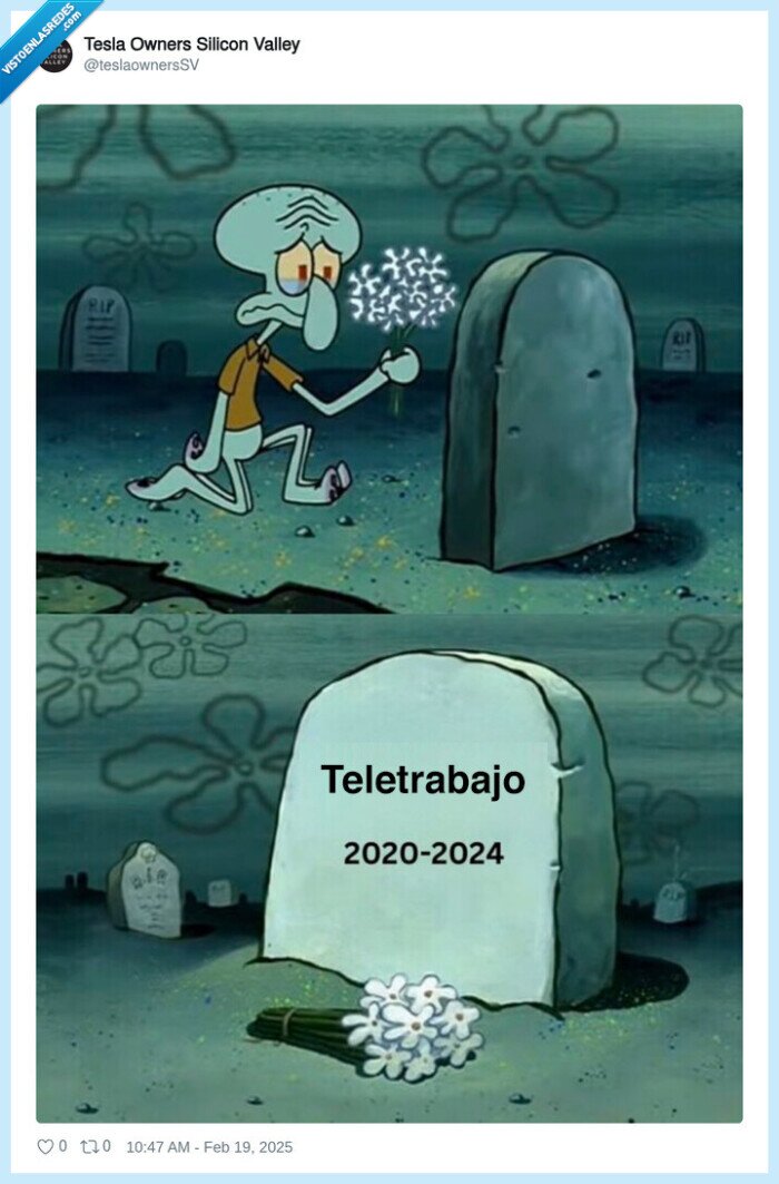 tumba,teletrabajo,2024