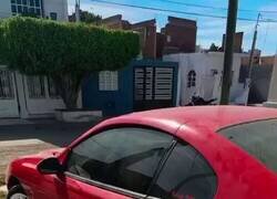 Enlace a A mí solo me ponen 