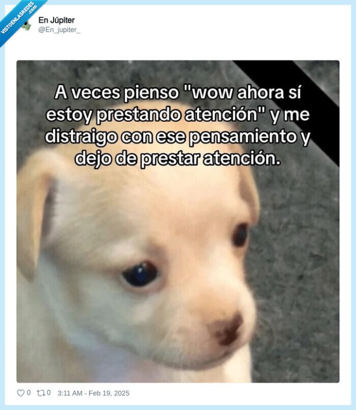 atención,despistarse