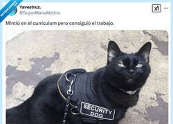 Enlace a No esperes que corra por @supermanumolina