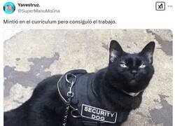 Enlace a No esperes que corra por @supermanumolina