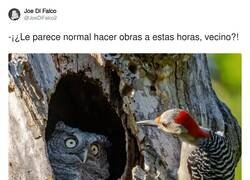 Enlace a El típico vecino tocapeIotas, por @JoeDiFaIco2