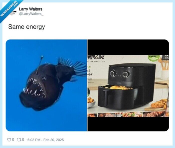 pez diablo,airfryer,cara,clavados