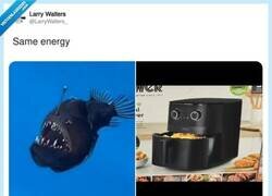 Enlace a Parecidos razonables, por @LarryWalters_