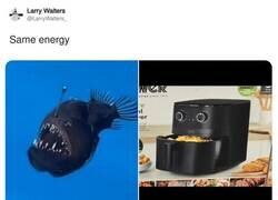 Enlace a Parecidos razonables, por @LarryWalters_