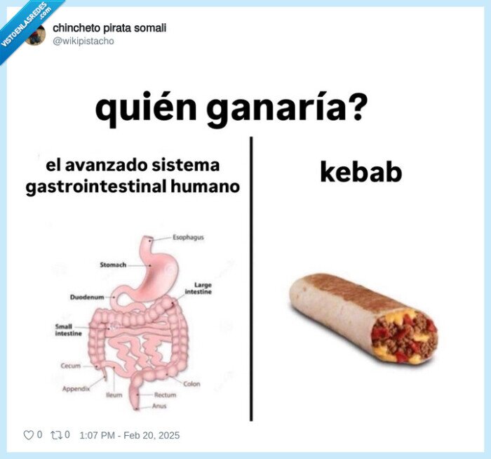 kebab,ganar,batalla,barriga