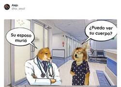 Enlace a Buen cuerpo Doge, por @bjs_alejo2