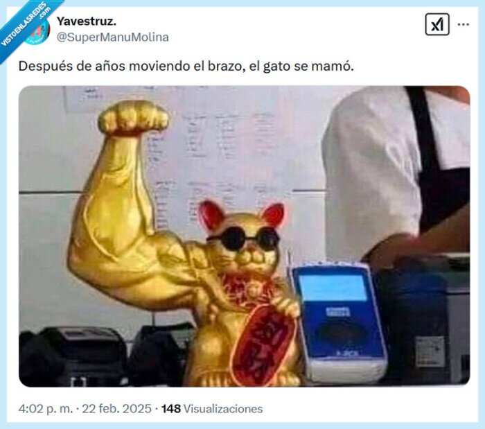 mamó,brazo,gato