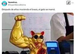 Enlace a Muchas repeticiones por @supermanumolina