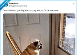 Enlace a A esperar por @supermanumolina