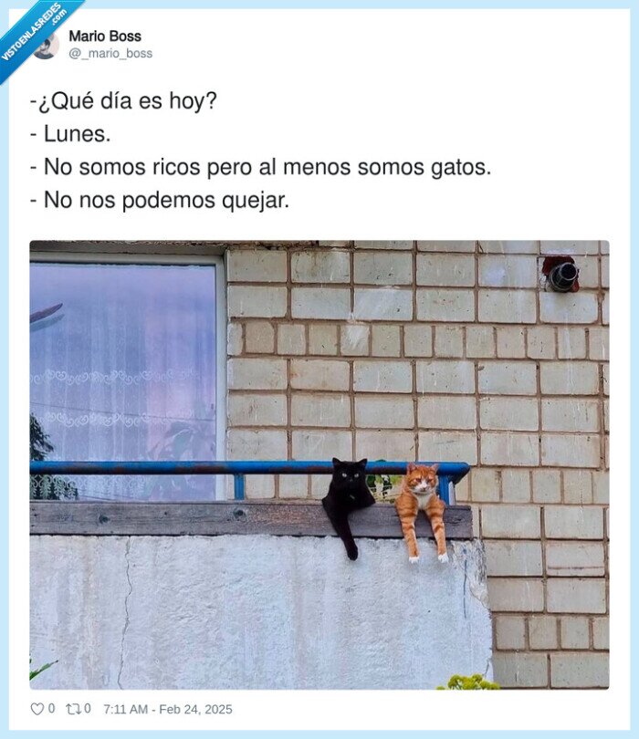 quejarse,lunes,gatos,ricos