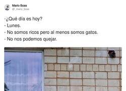 Enlace a Suertudos, por @_mario_boss