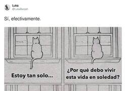 Enlace a Así les va, por @LukaBanjah