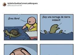 Enlace a DEP, por @BocataJamonEHM