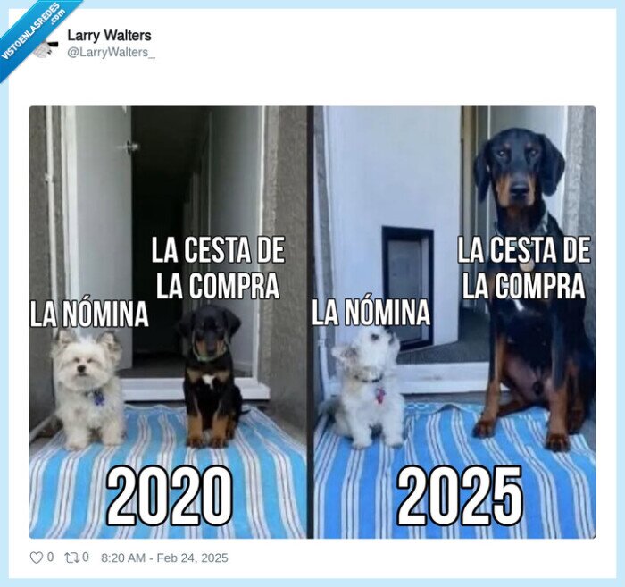 cesta de la compra,nomina,perros