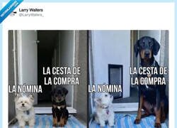 Enlace a Se me ha quedado la cara como al perro blanco, por @LarryWalters_