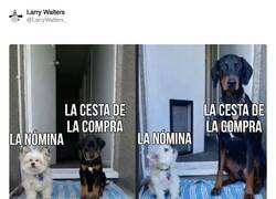 Enlace a Se me ha quedado la cara como al perro blanco, por @LarryWalters_