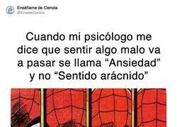 Enlace a Si ves que no te sale telaraña de la muñeca... es ansiedad, por @EnsedeCiencia