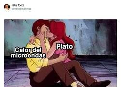 Enlace a Nadie entiende el funcionamiento del microondas, por @messedupfoods
