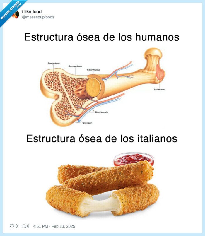 estructura ósea,italianos,mozzarella