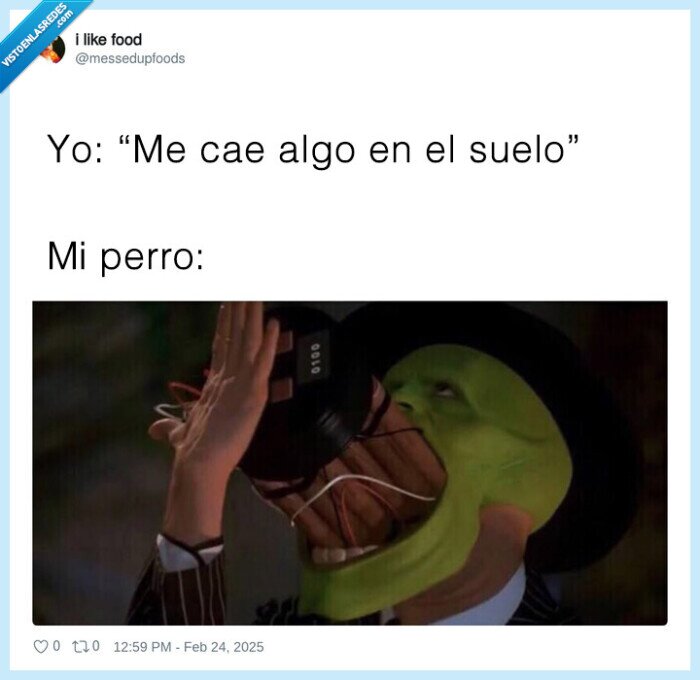 mascara,the mask,perro,caer,porqueria