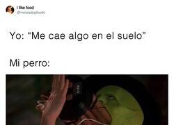 Enlace a Especialista en comer porquería que cae al suelo, por @messedupfoods