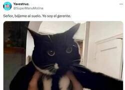 Enlace a Un jefe muy mono por @supermanumolina