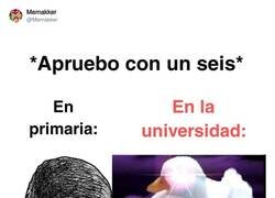 Enlace a Un 6 es de locos, por @Memakker