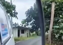 Enlace a La cara del perro jajajajaja, por @yisucrist