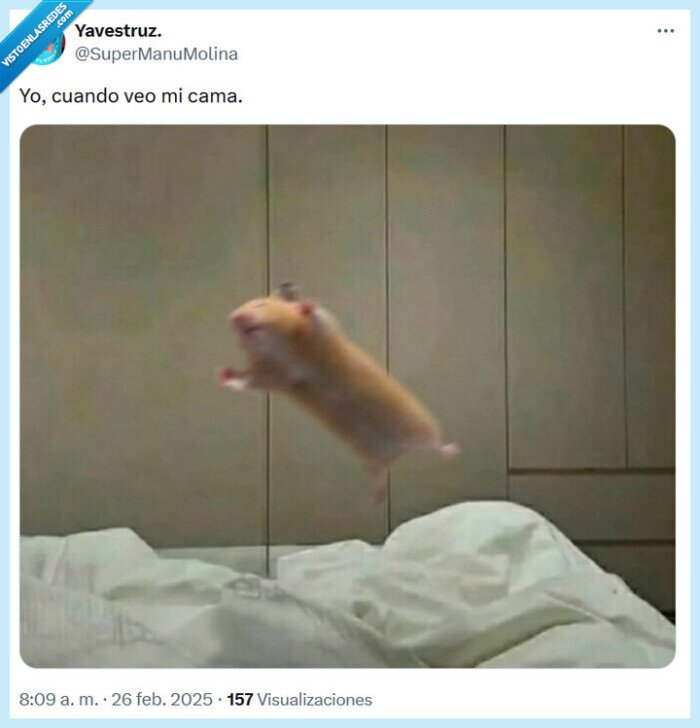cama,ver,saltar
