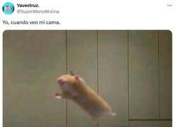 Enlace a ¡Por fin! por @supermanumolina