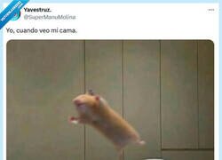 Enlace a ¡Por fin! por @supermanumolina