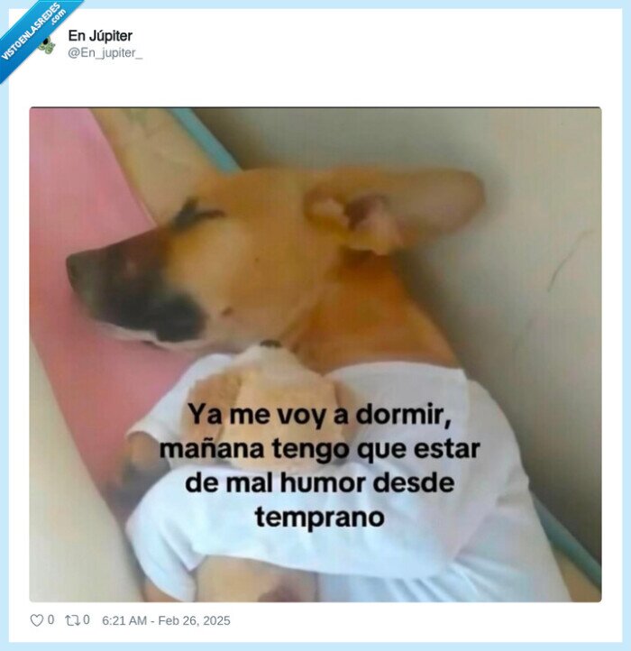 dormir,mal humor,perro