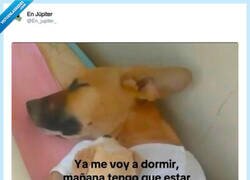 Enlace a ¡Buenas noches! por @En_jupiter_