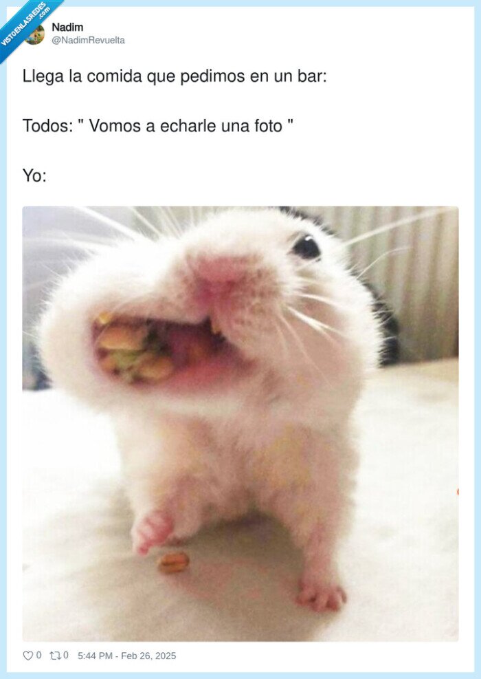 pedimos,comida,llegar