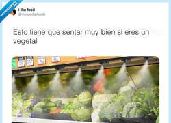 Enlace a Fresquito en toda la cara, por @messedupfoods