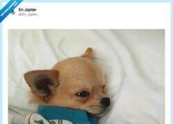Enlace a Yo cada mañana, por @En_jupiter_