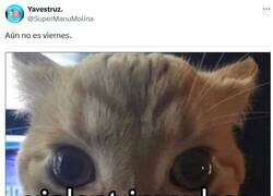 Enlace a Y lo que queda por @supermanumolina