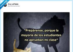 Enlace a La culpa al final es del profesor, por @ymuchosmemes