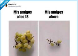 Enlace a Las amistades van y vienen