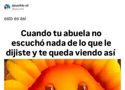 Enlace a Abuela, reacciona, por @yisucrist