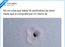 Enlace a Se marcan hasta los huevecillos
