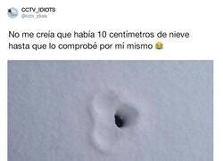 Enlace a Se marcan hasta los huevecillos