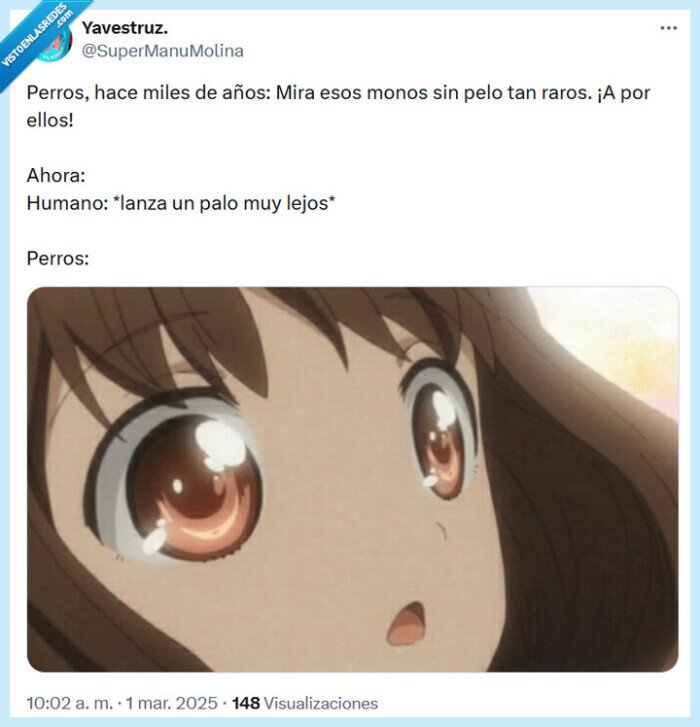 perro,antes,ahora,palo