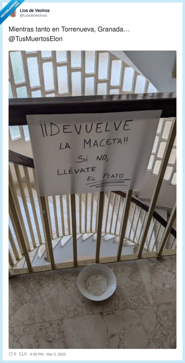 granada,torrenueva,plato,maceta,robar