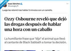 Enlace a Pues lo cierto es que es una historia tremendamente lógica, por @Loulogio_Pi