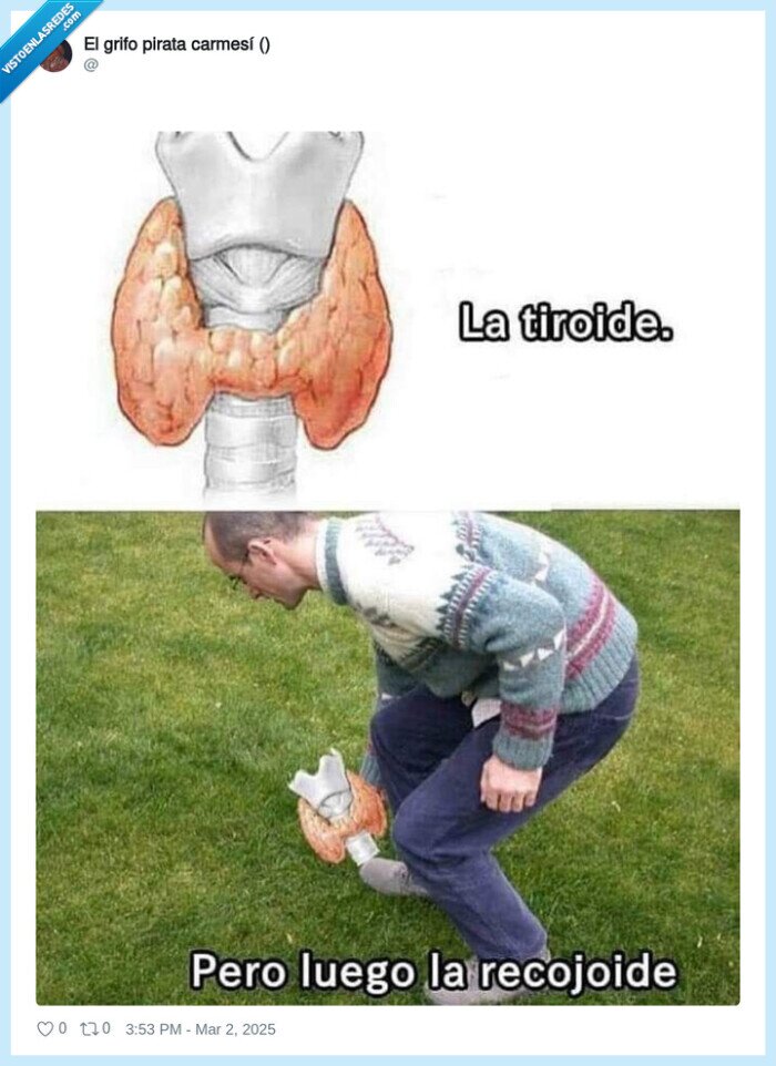 tiroides,tirar,recoger