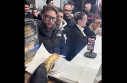 Enlace a En todos los negocios modernitos cómo éste, se suelen ver estas caras de pánfilo