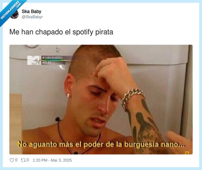 spotify,chapado,pirata,labrador